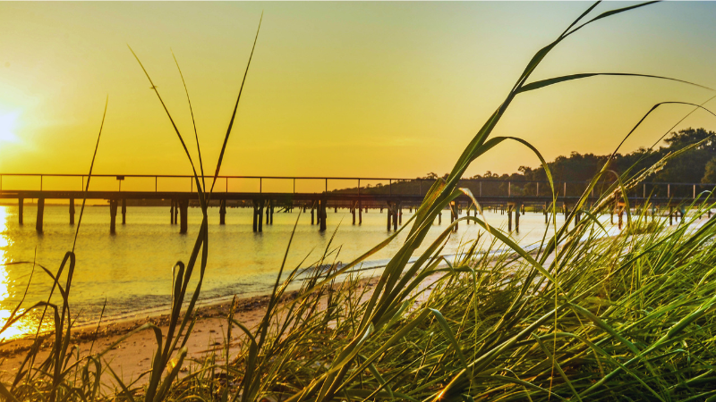South Carolina Beaches